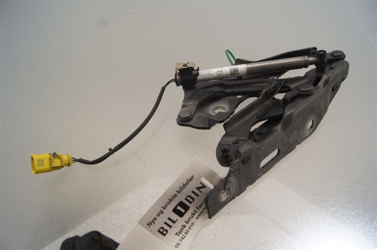 Panser Hengsel / Hengsler – bilde 1