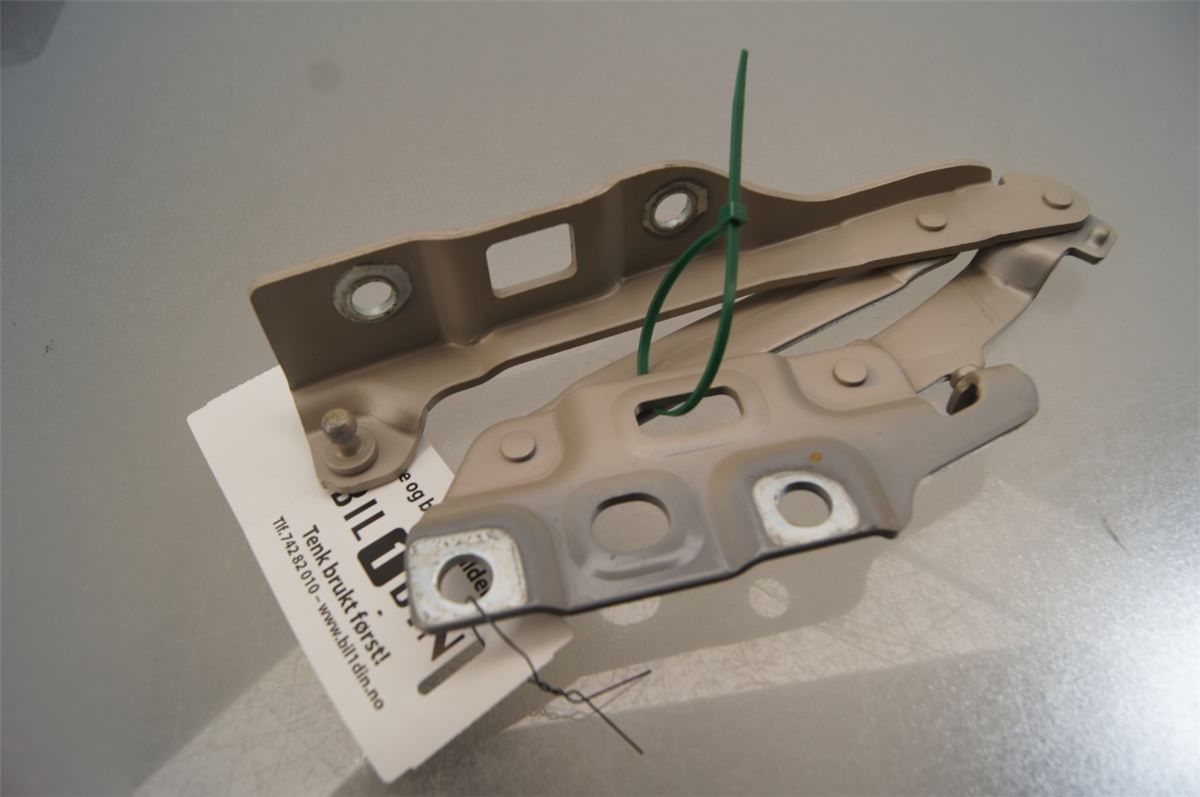 Panser Hengsel / Hengsler – bilde 2