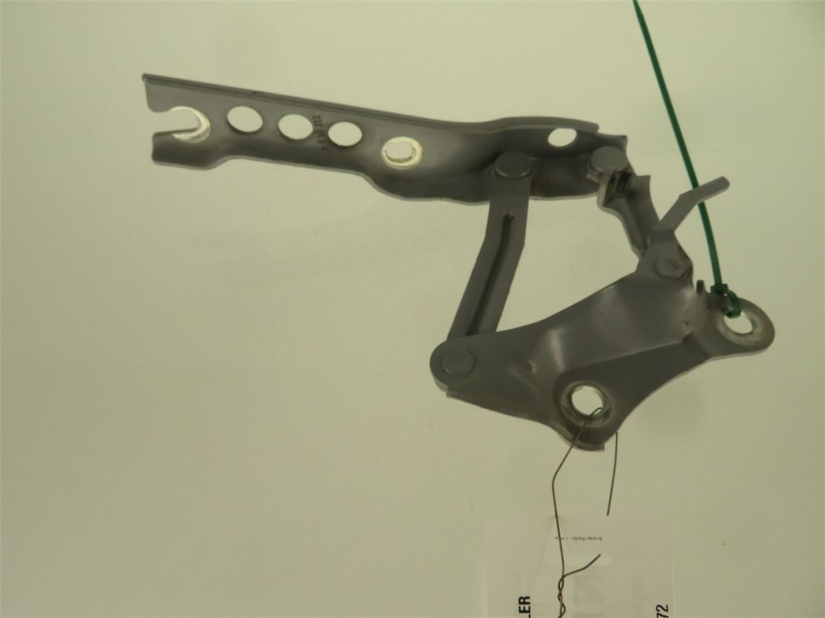 Panser Hengsel / Hengsler – bilde 1