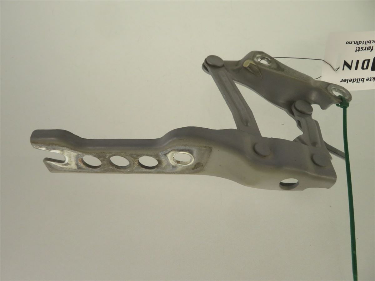 Panser Hengsel / Hengsler – bilde 2