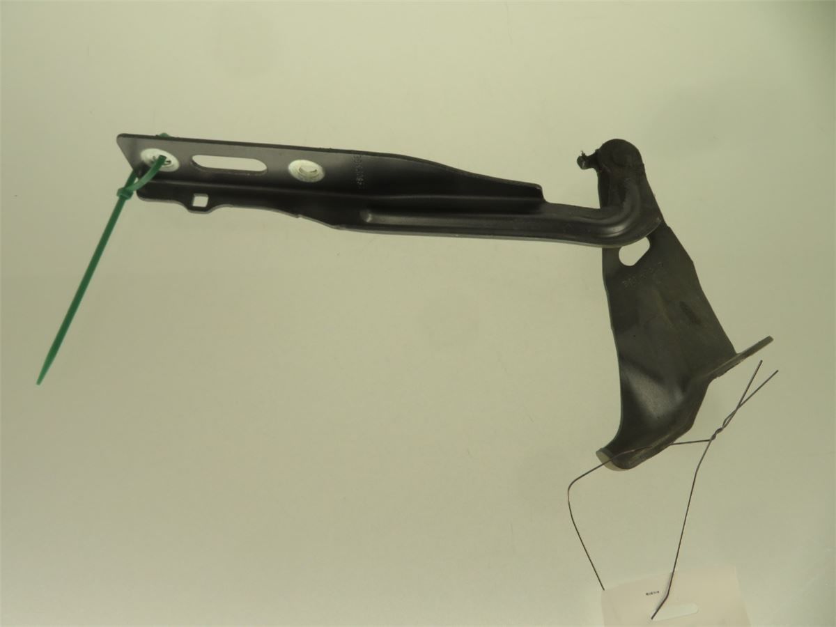 Panser Hengsel / Hengsler – bilde 1