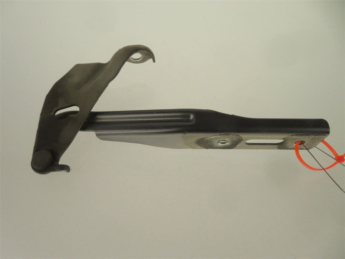 Panser Hengsel / Hengsler – bilde 1