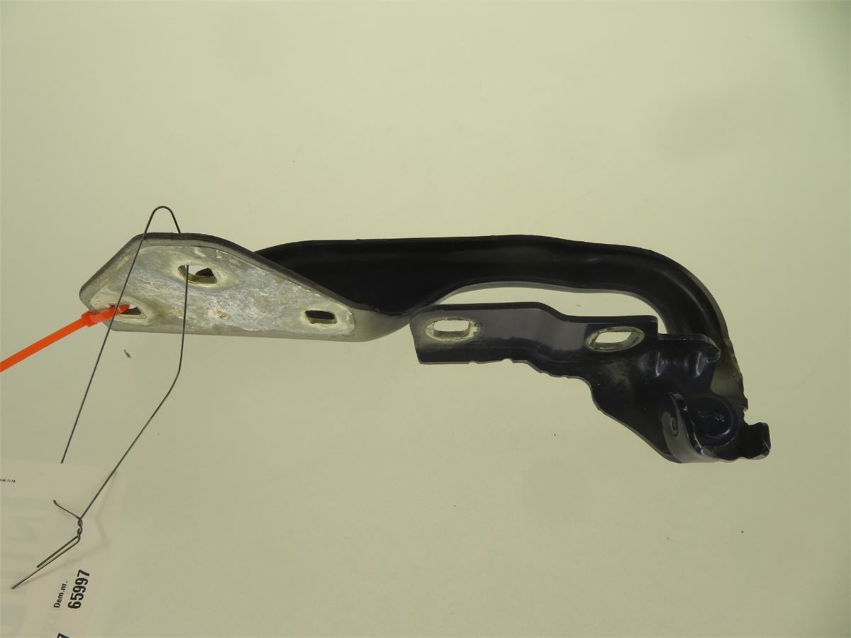 Panser Hengsel / Hengsler – bilde 1
