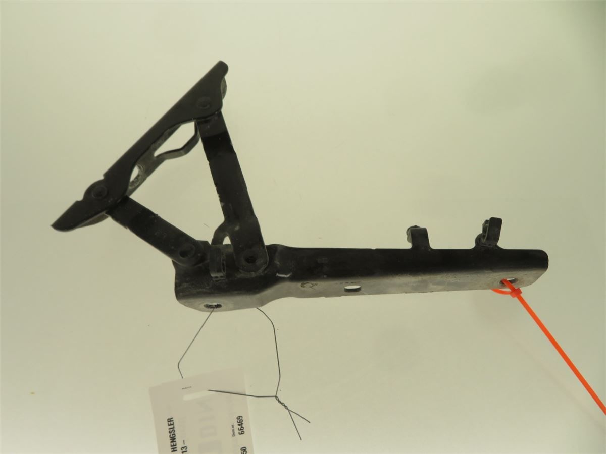 Panser Hengsel / Hengsler – bilde 1