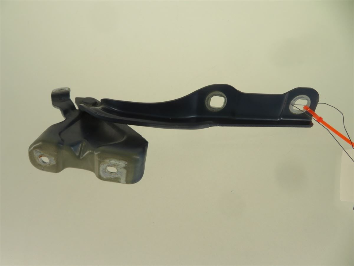 Panser Hengsel / Hengsler – bilde 2