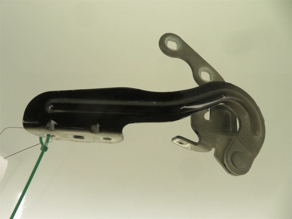 Panser Hengsel / Hengsler – bilde 1