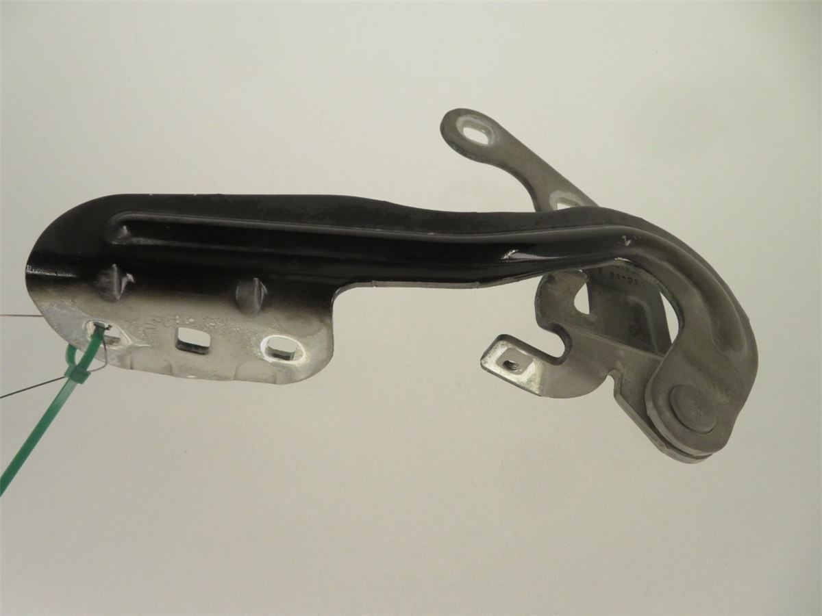 Panser Hengsel / Hengsler – bilde 2