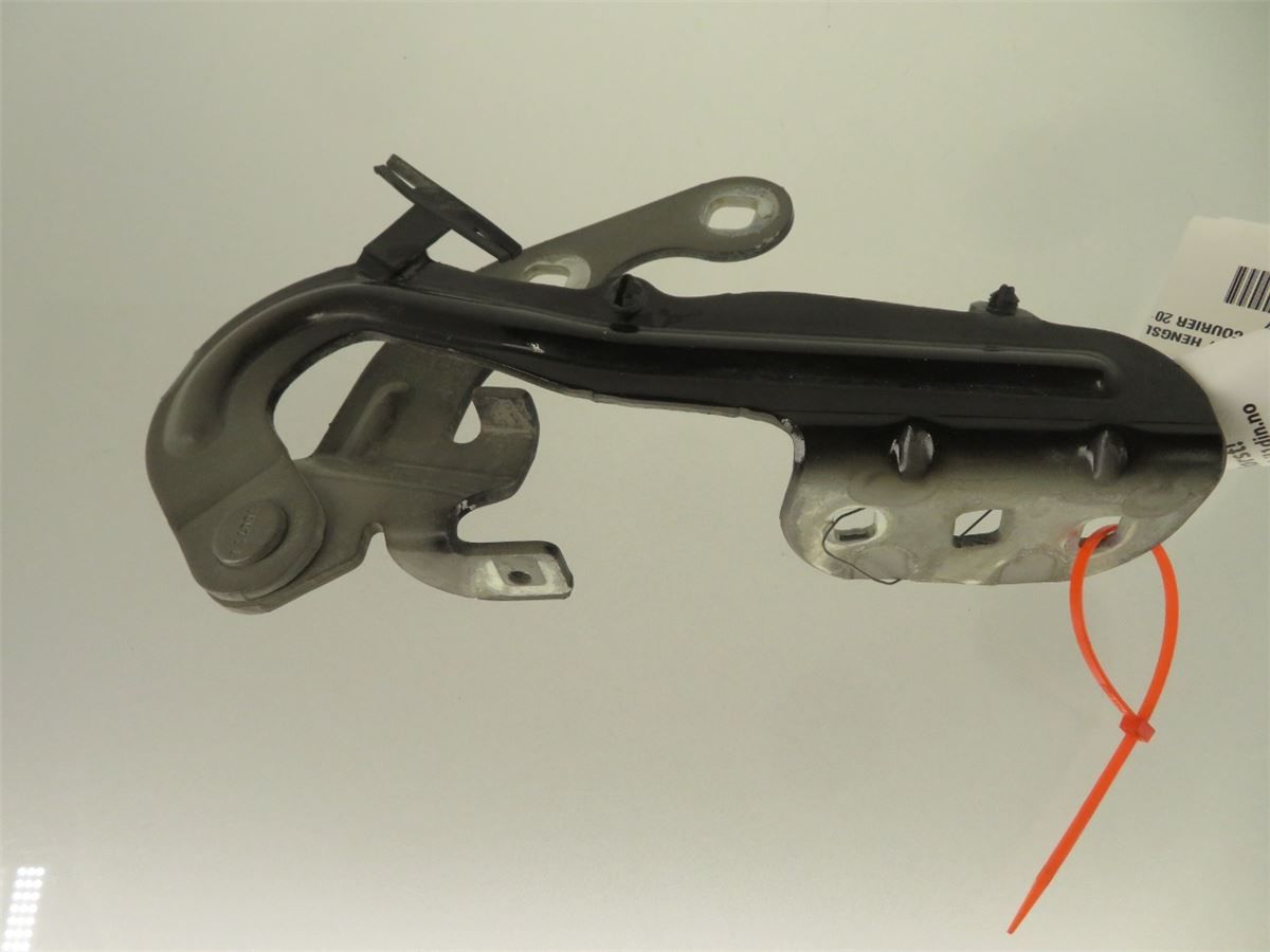 Panser Hengsel / Hengsler – bilde 3