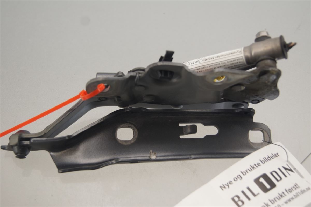Panser Hengsel / Hengsler – bilde 1