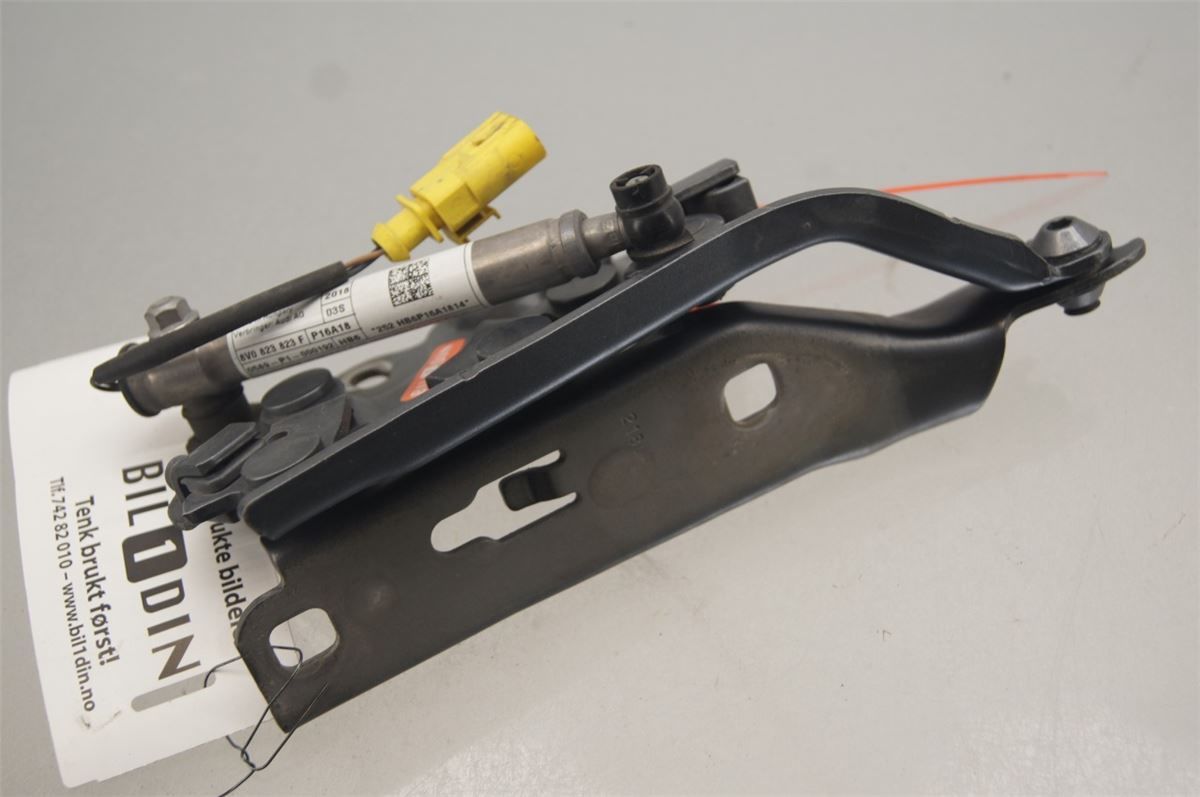 Panser Hengsel / Hengsler – bilde 3