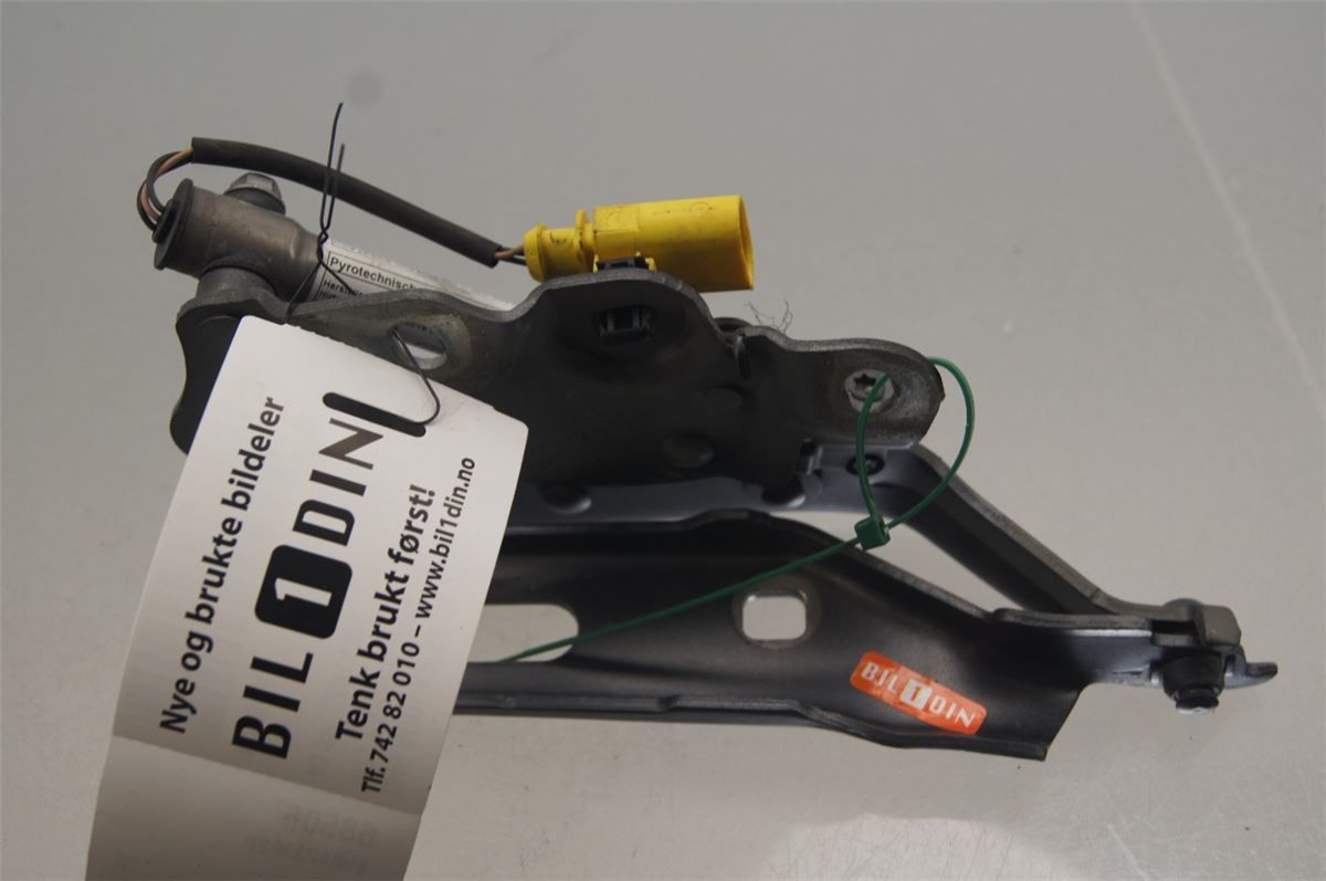 Panser Hengsel / Hengsler – bilde 1