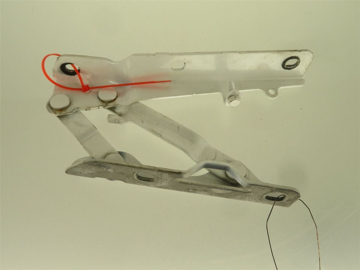 Panser Hengsel / Hengsler – bilde 1