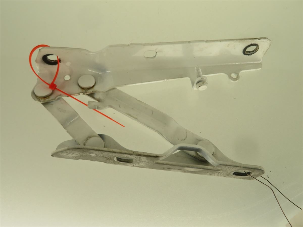 Panser Hengsel / Hengsler – bilde 4