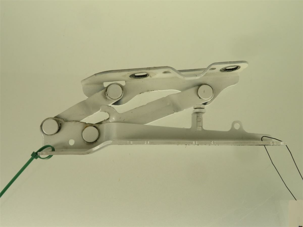 Panser Hengsel / Hengsler – bilde 1