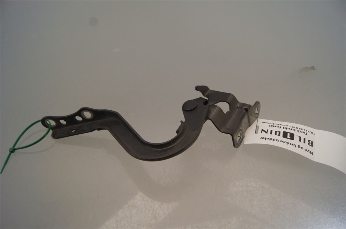 Panser Hengsel / Hengsler – bilde 2