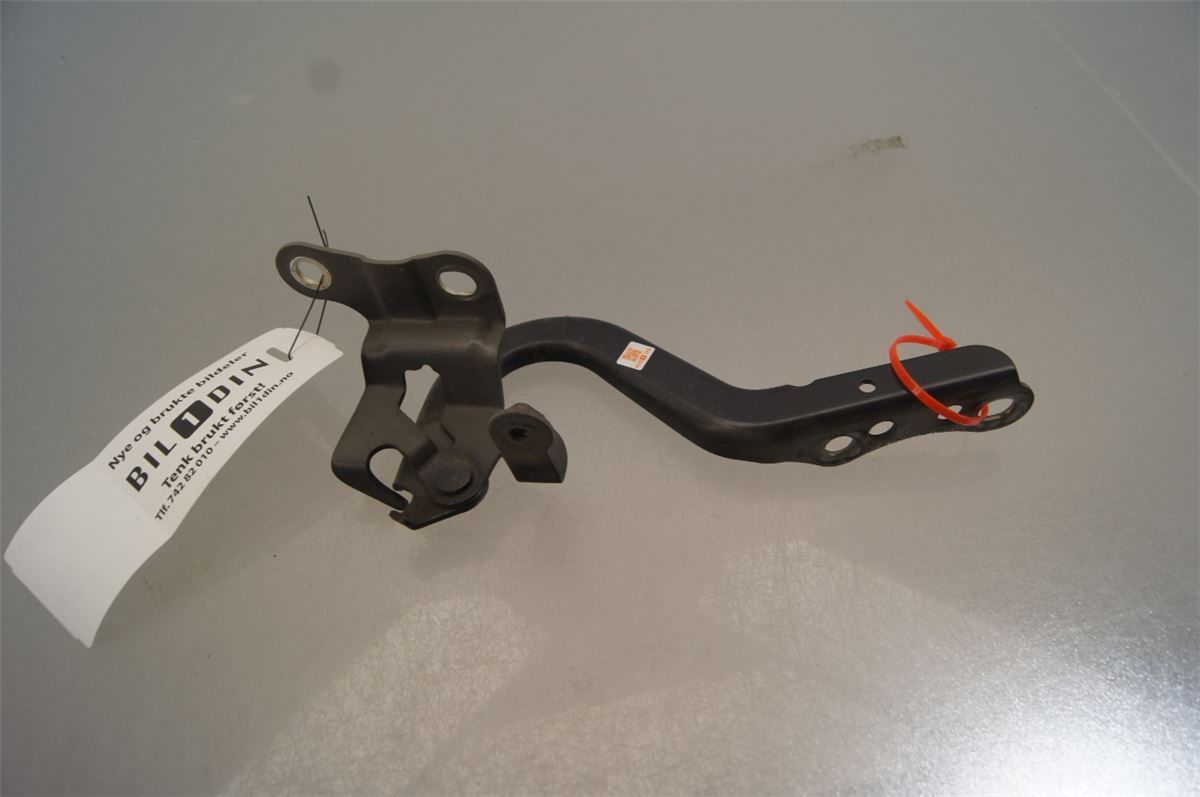 Panser Hengsel / Hengsler – bilde 1