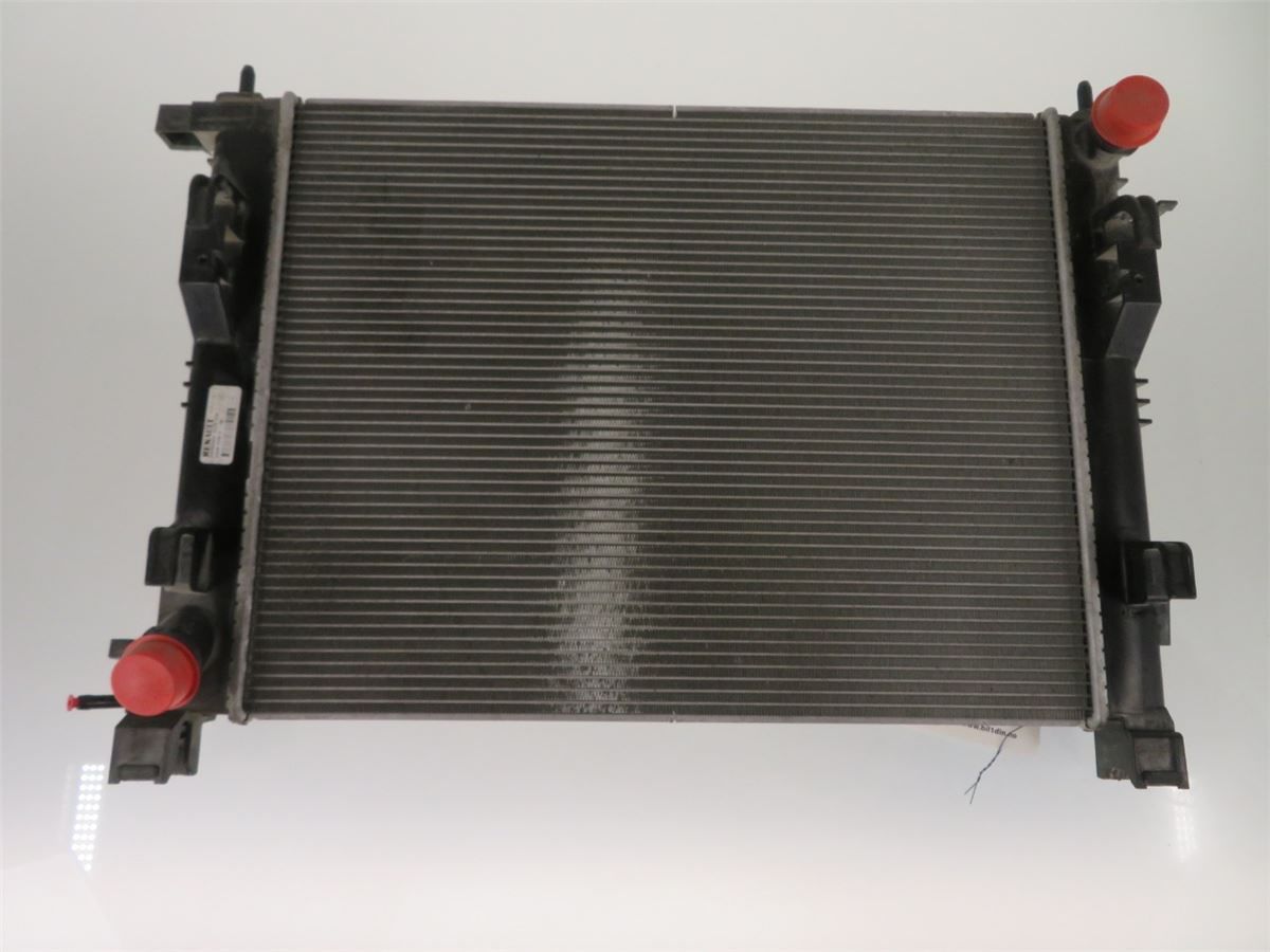 Radiator Manuell – bilde 1