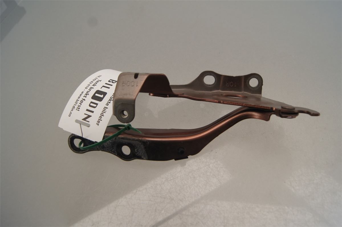 Panser Hengsel / Hengsler – bilde 2
