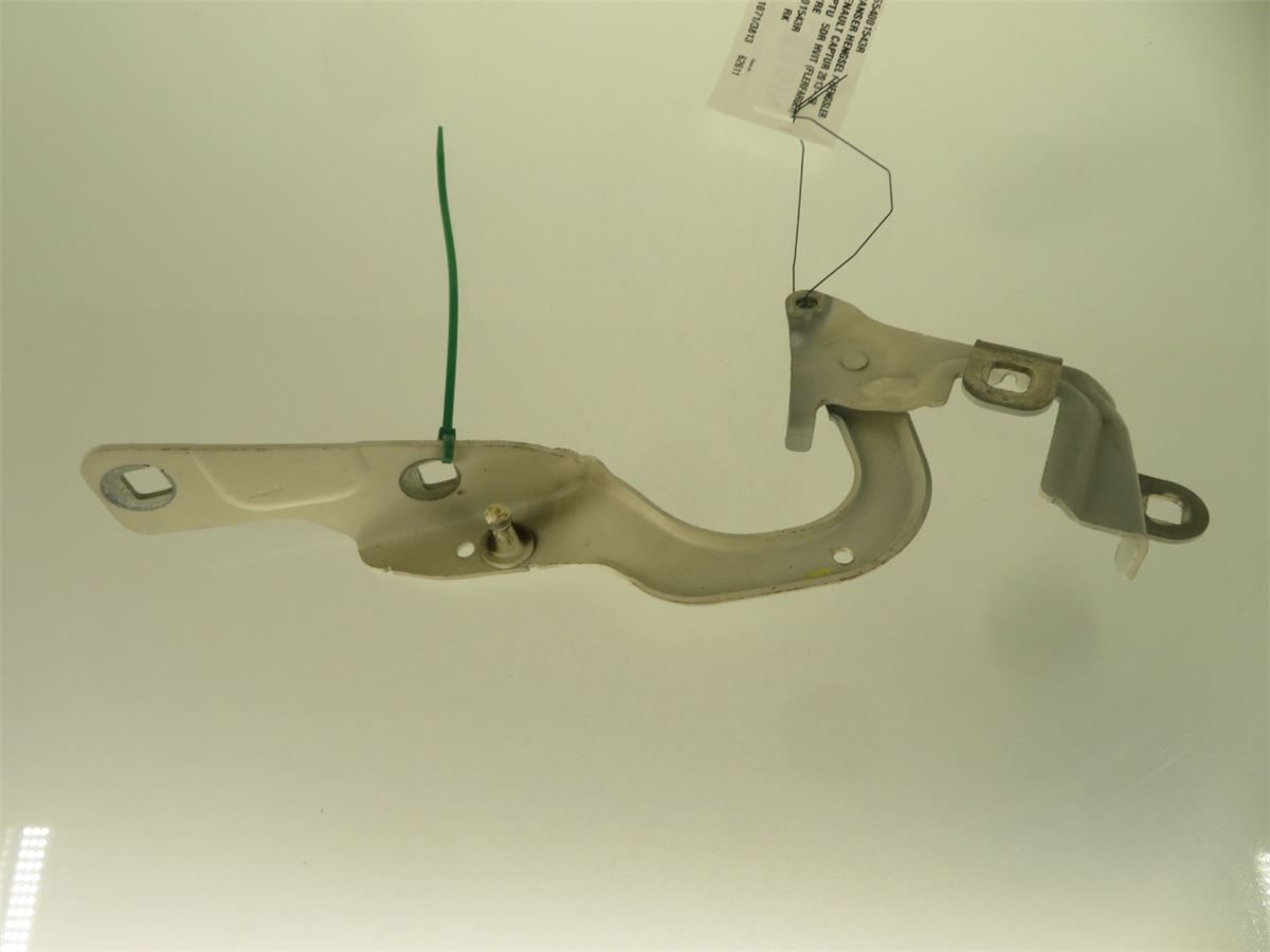 Panser Hengsel / Hengsler – bilde 2