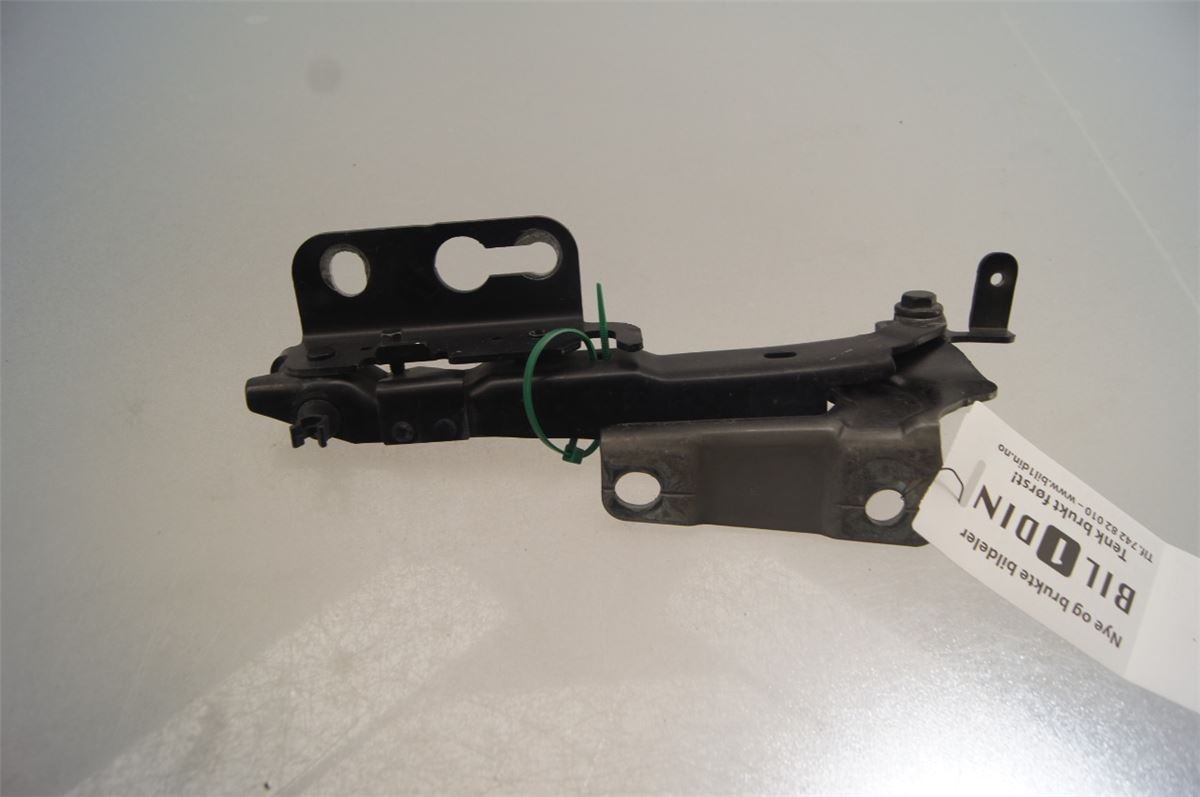 Panser Hengsel / Hengsler – bilde 3