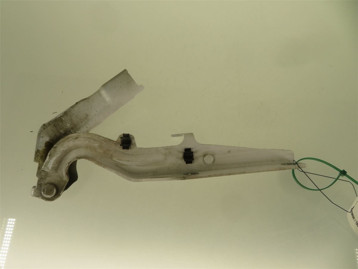Panser Hengsel / Hengsler – bilde 1