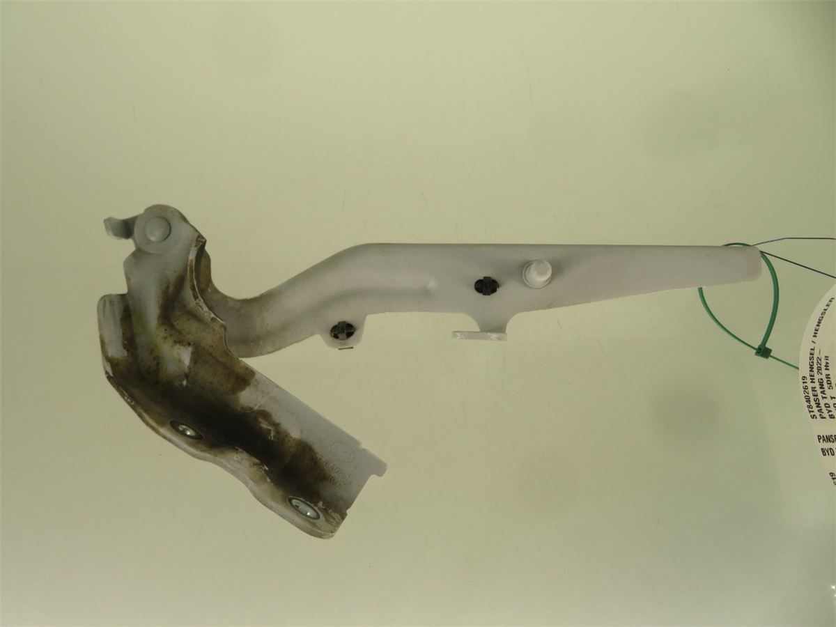 Panser Hengsel / Hengsler – bilde 2