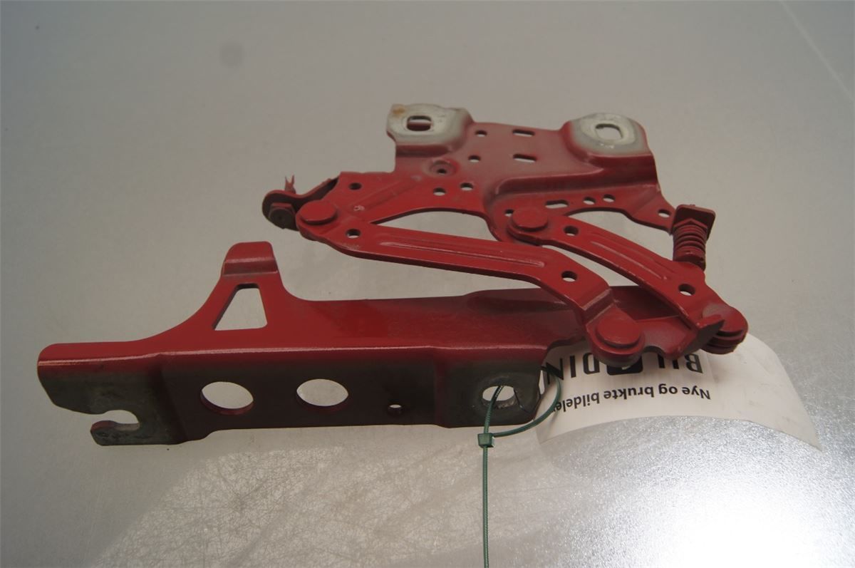 Panser Hengsel / Hengsler – bilde 2
