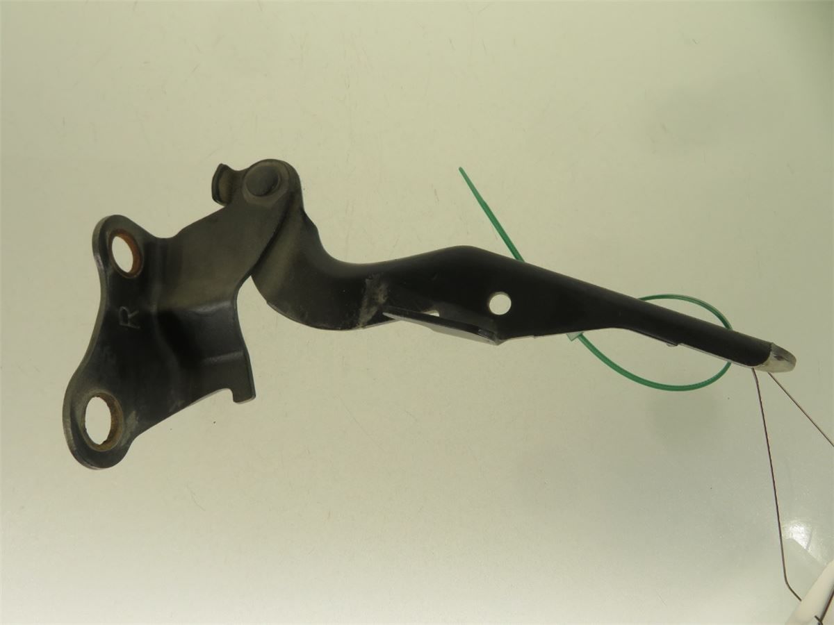 Panser Hengsel / Hengsler – bilde 1