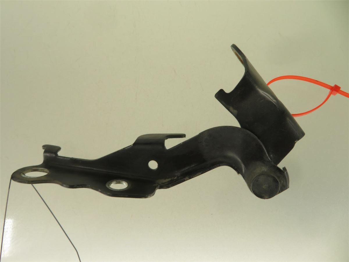 Panser Hengsel / Hengsler – bilde 1