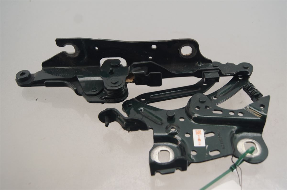 Panser Hengsel / Hengsler – bilde 1