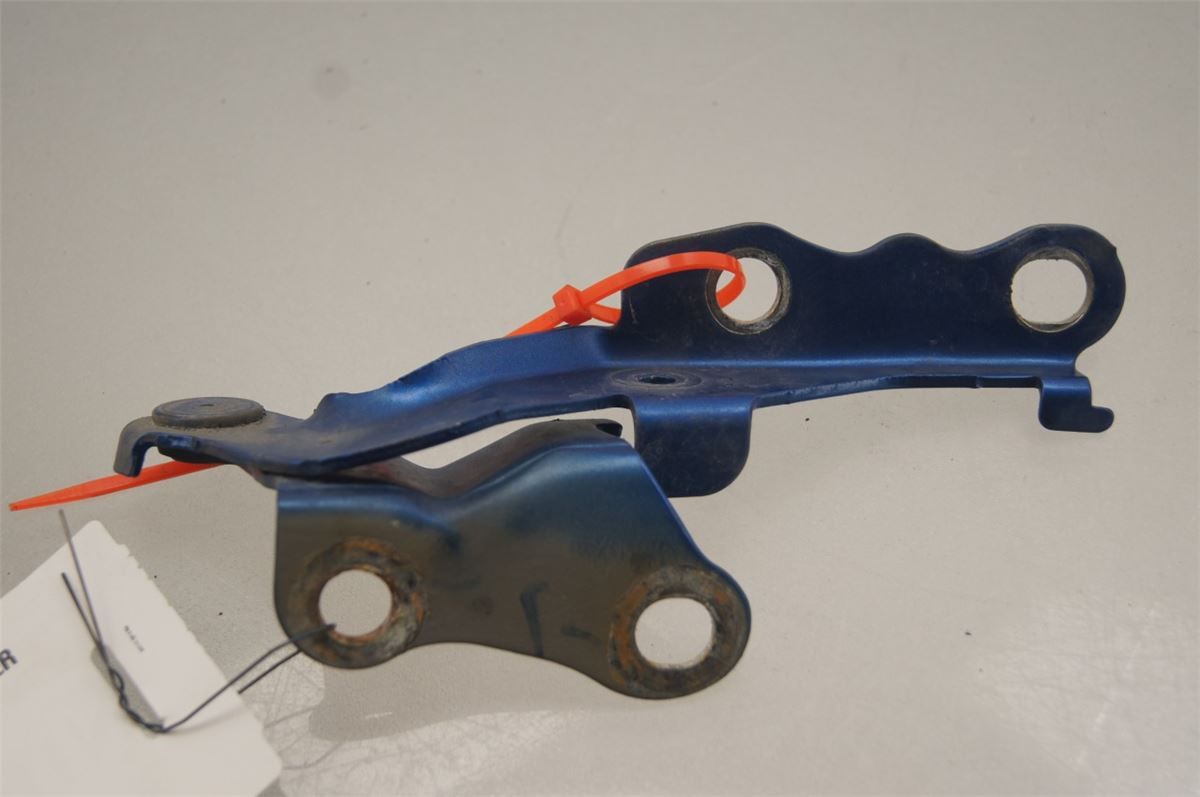 Panser Hengsel / Hengsler – bilde 1