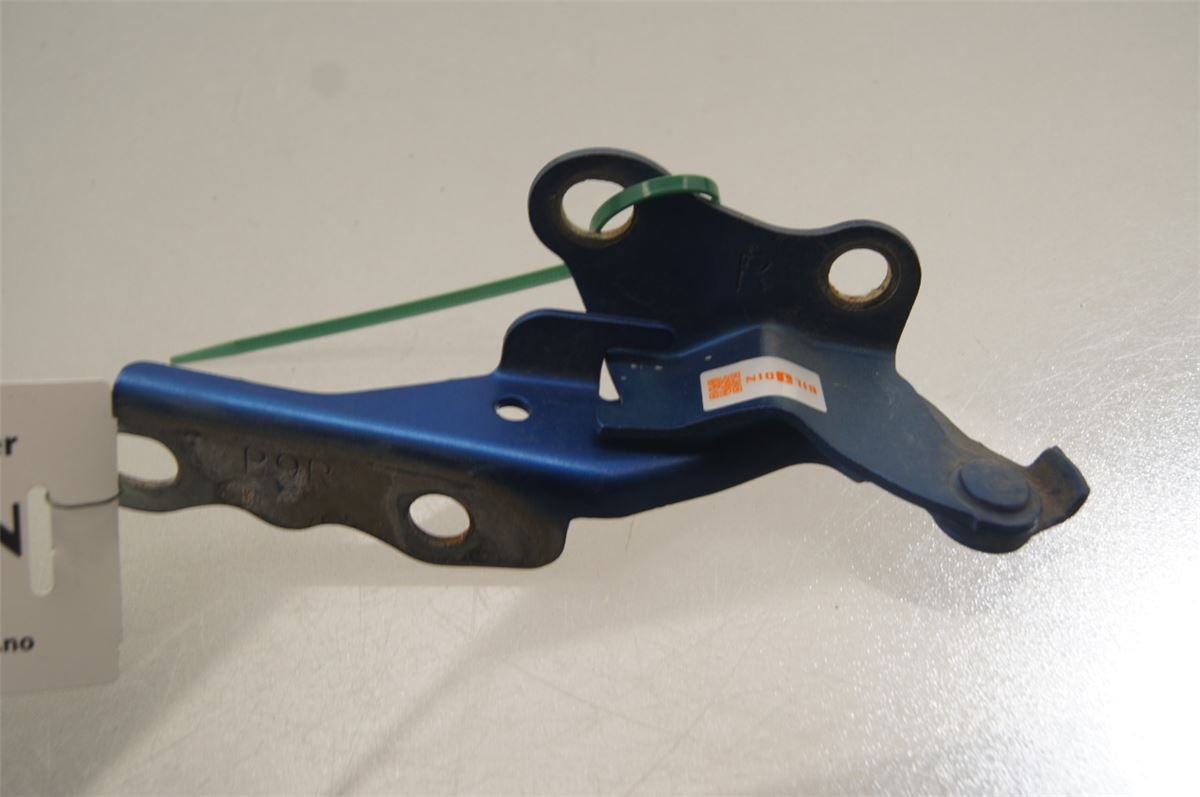 Panser Hengsel / Hengsler – bilde 1