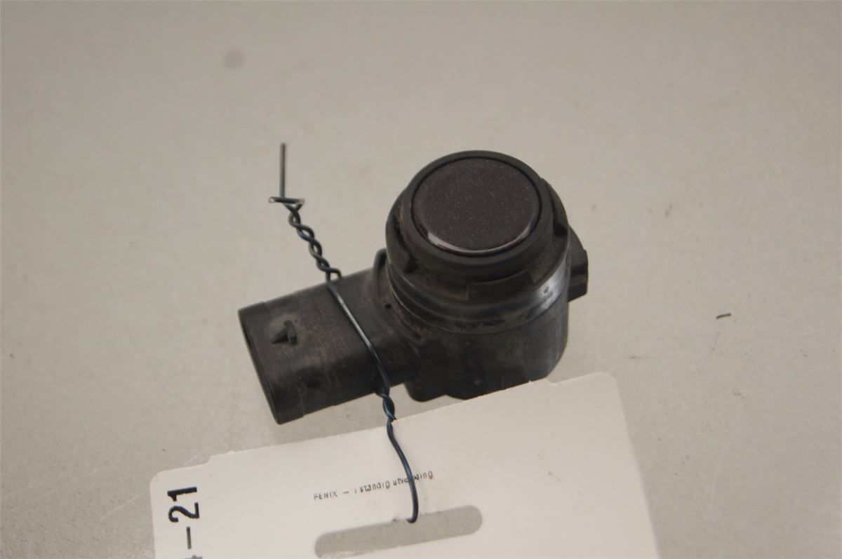 Sensor Ryggesensor – bilde 1