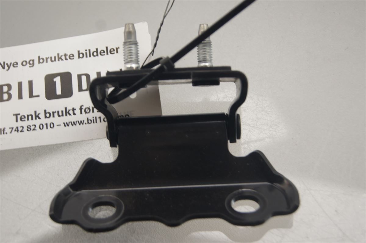 Bakluke Hengsel Venstre – bilde 1