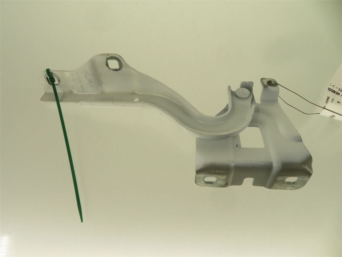 Panser Hengsel / Hengsler – bilde 1