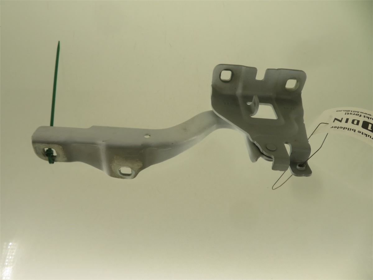 Panser Hengsel / Hengsler – bilde 2