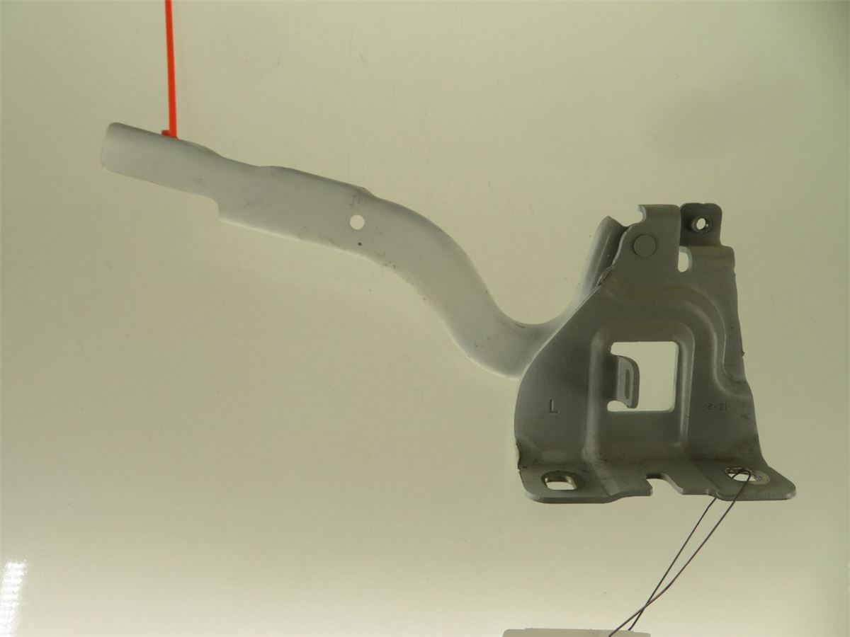 Panser Hengsel / Hengsler – bilde 1