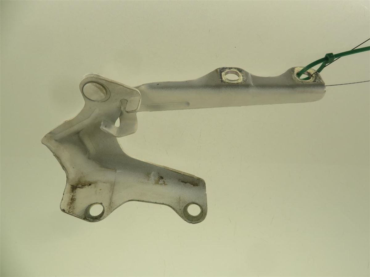 Panser Hengsel / Hengsler – bilde 1