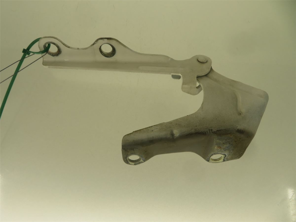 Panser Hengsel / Hengsler – bilde 2