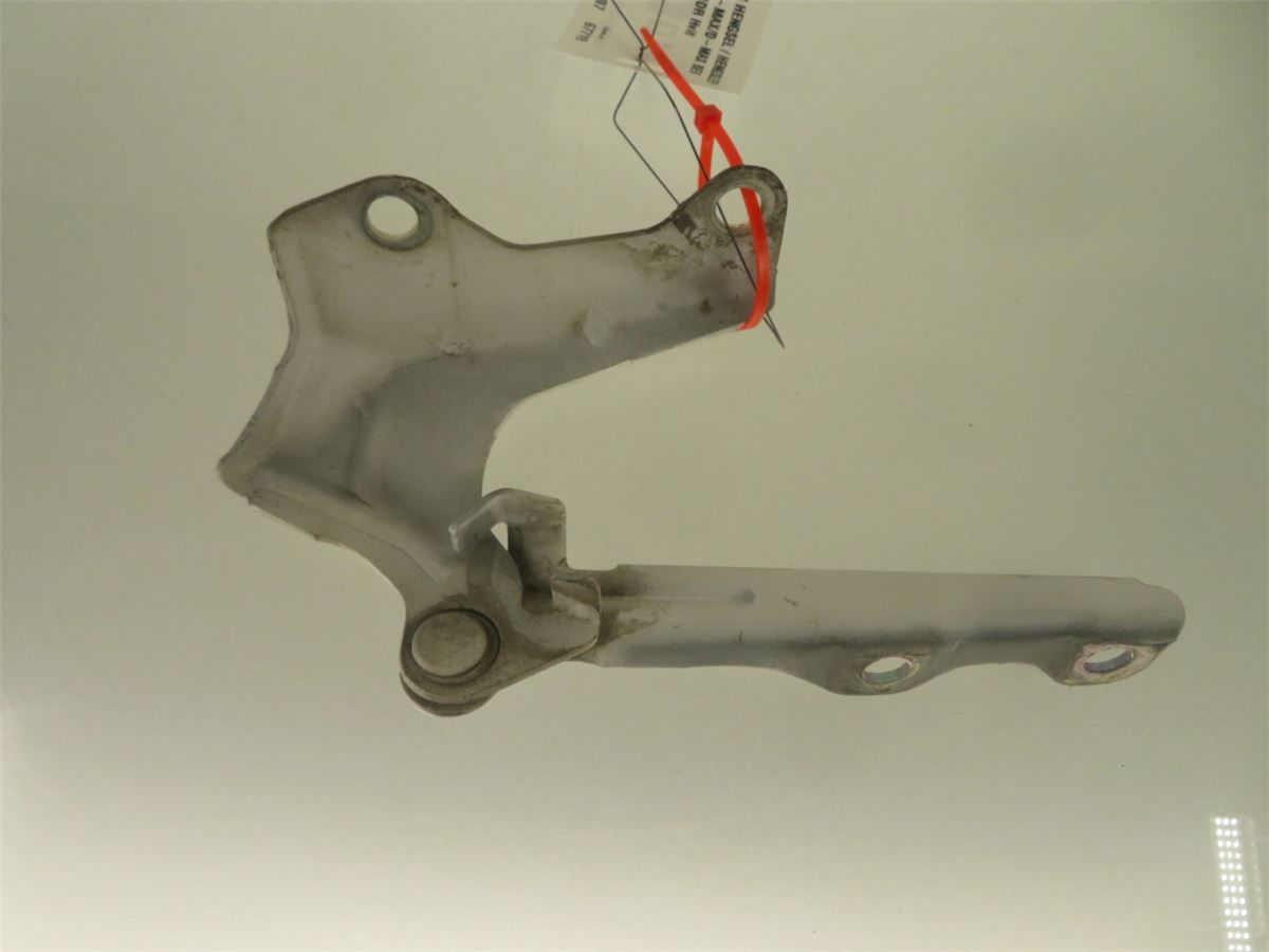 Panser Hengsel / Hengsler – bilde 2