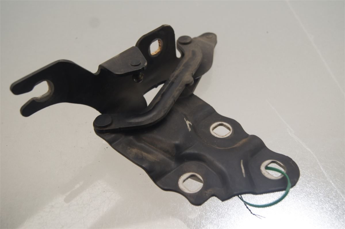 Panser Hengsel / Hengsler – bilde 2