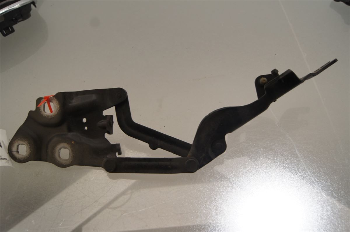 Panser Hengsel / Hengsler – bilde 2