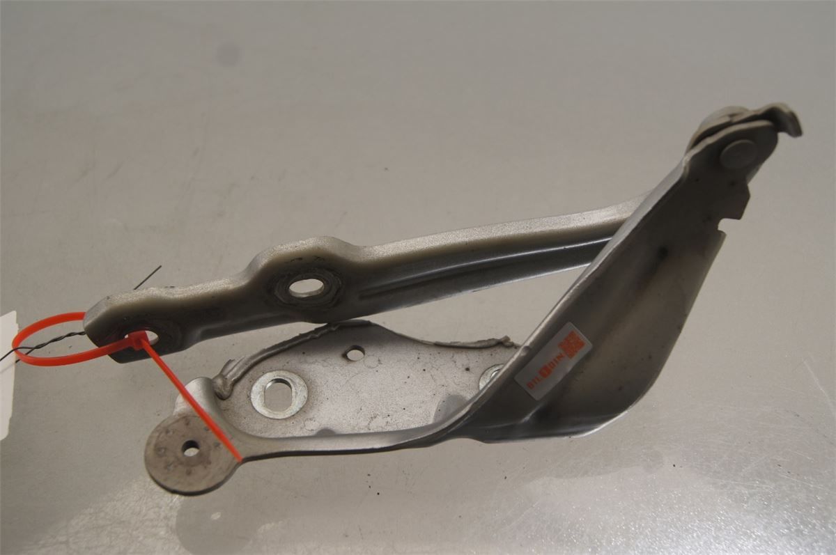 Panser Hengsel / Hengsler – bilde 1