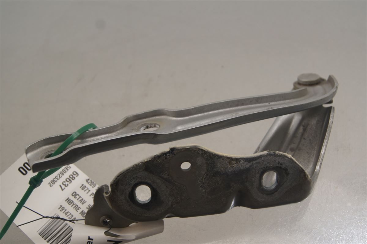Panser Hengsel / Hengsler – bilde 2