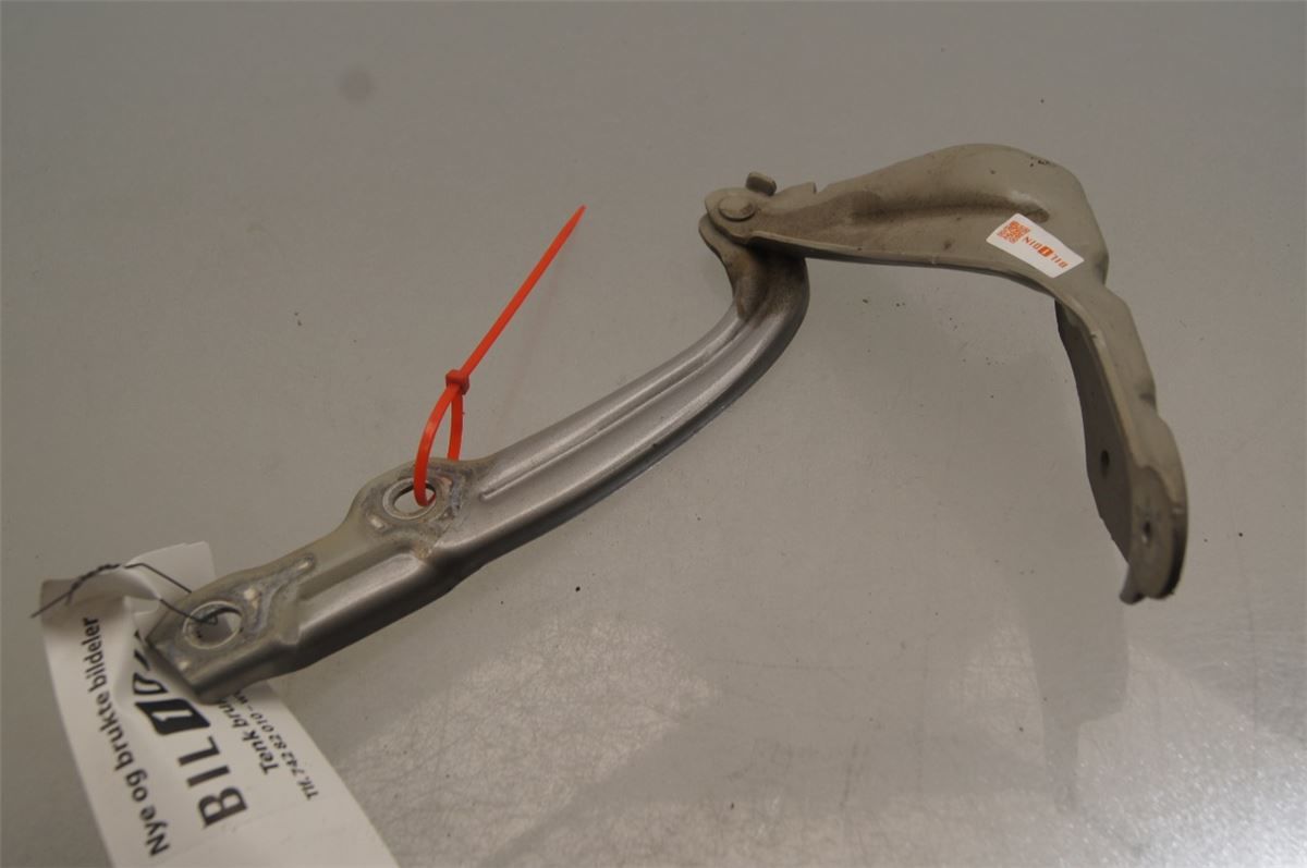 Panser Hengsel / Hengsler – bilde 1
