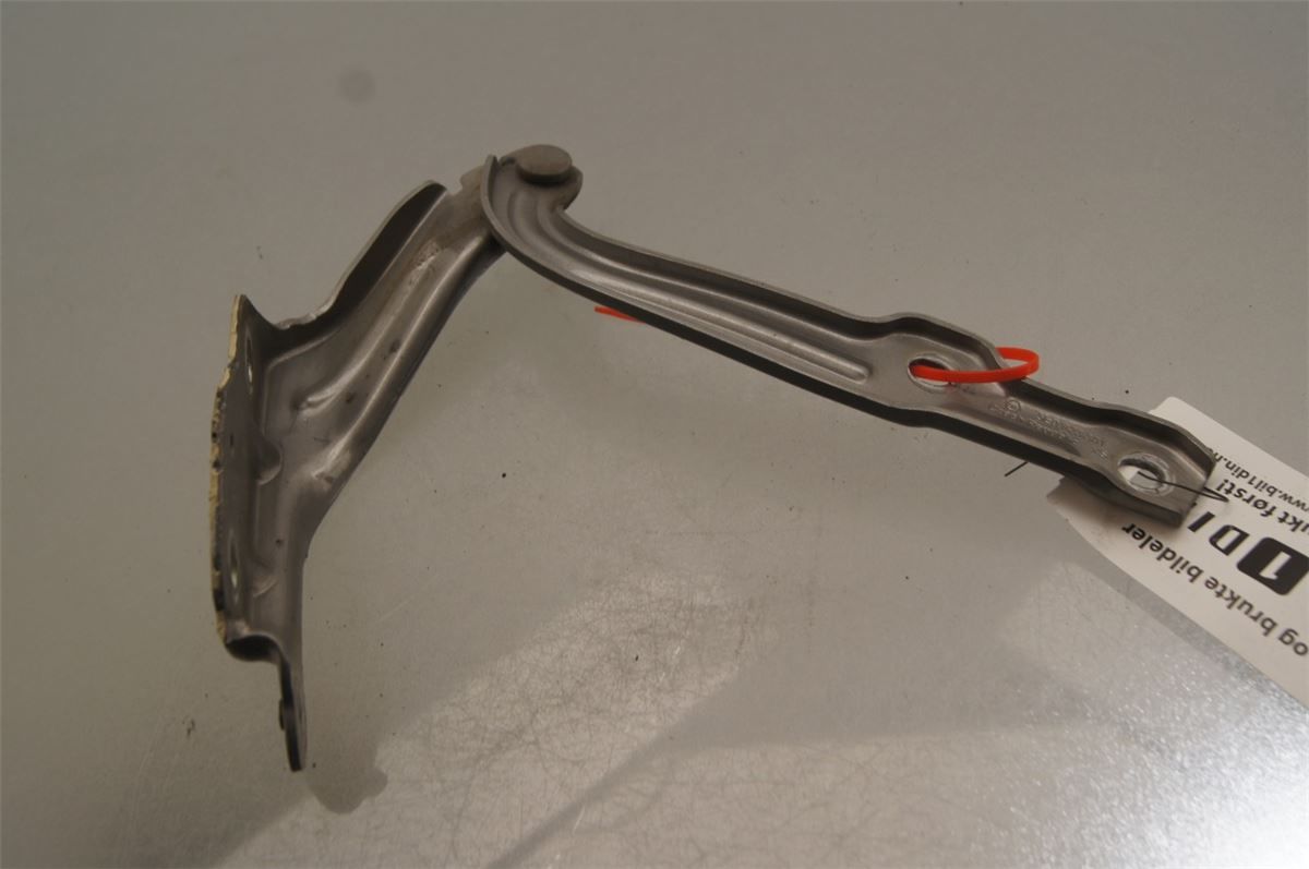 Panser Hengsel / Hengsler – bilde 3