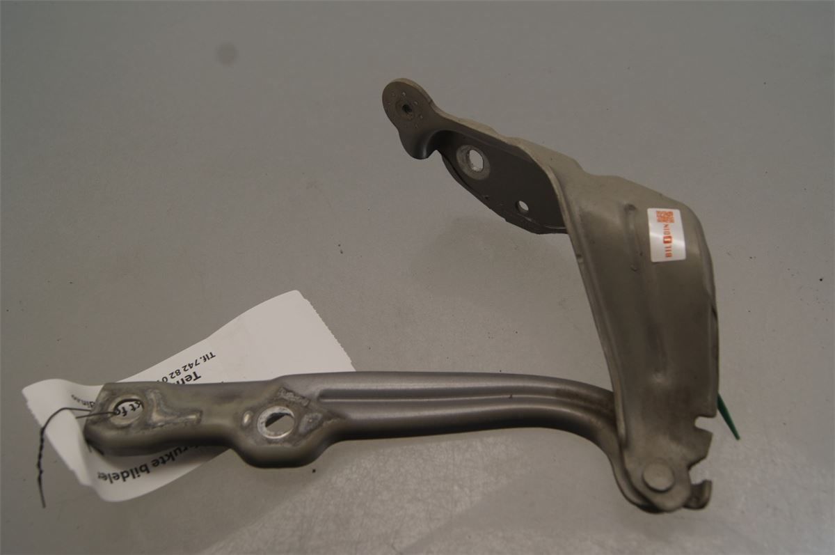 Panser Hengsel / Hengsler – bilde 1