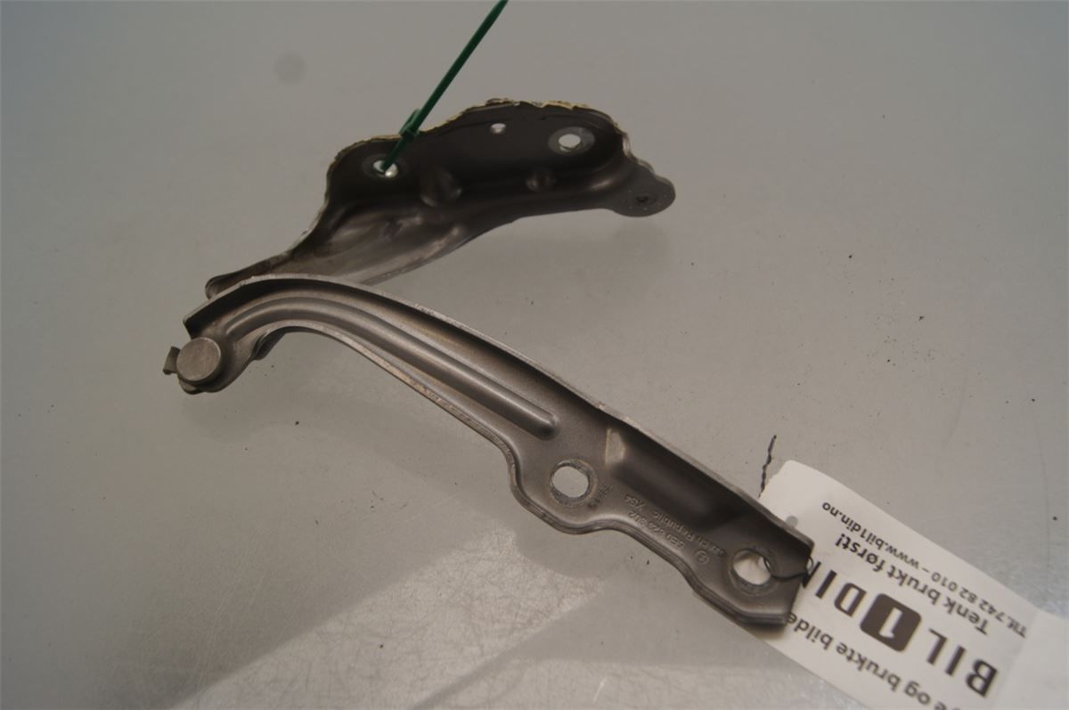 Panser Hengsel / Hengsler – bilde 2