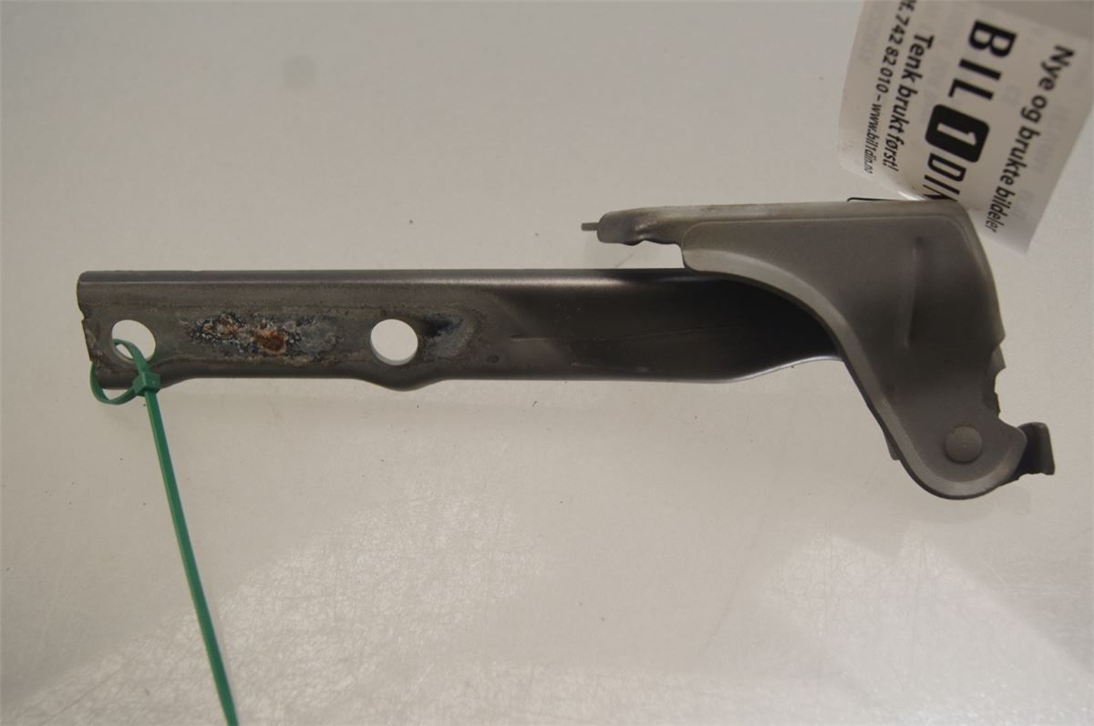 Panser Hengsel / Hengsler – bilde 3