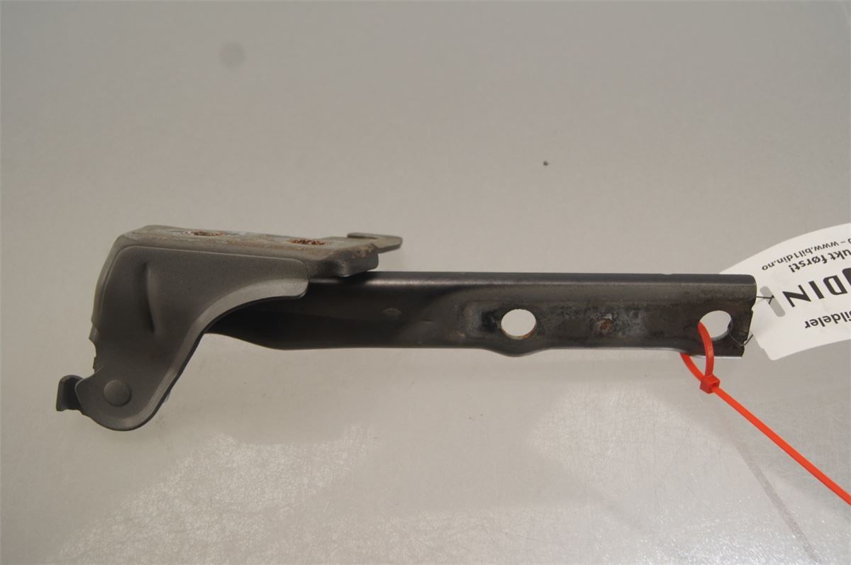 Panser Hengsel / Hengsler – bilde 1